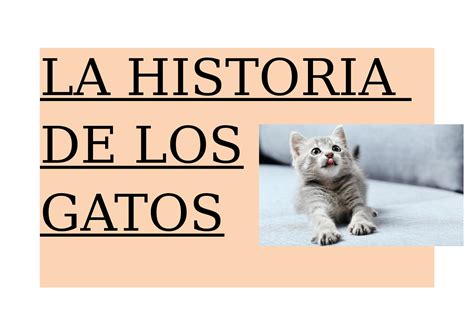 Calaméo La Historia De Los Gatos