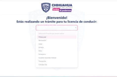 ¿cómo Sacar Cita Para La Licencia De Conducir En Línea Circuito Frontera