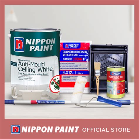 Anti Mould Ceiling Bundle Nippon Paint Singapore