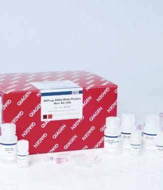 Allprep Dna Rna Mini Kit Cetepa