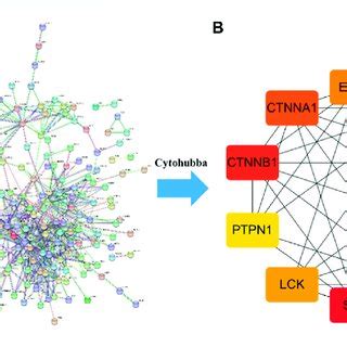 A Drug Component Disease Target Network Diagram B The Core Targets