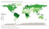 Cartes Les Valuations Des Ressources Foresti Res Mondiales