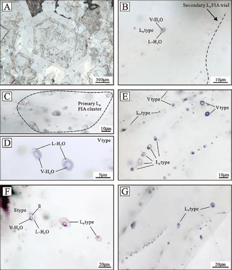 Photomicrographs Of Different Types Of Representative Fluid Inclusions