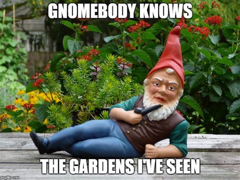 gnome Memes & GIFs - Imgflip