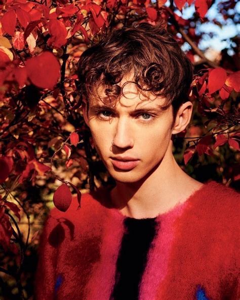 【troye Sivan】戳爷美如画高清壁纸 哔哩哔哩