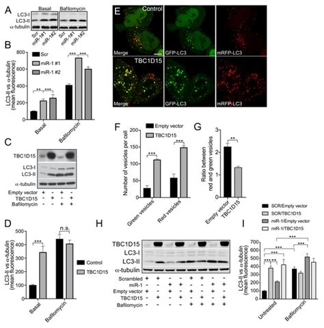 Figures And Data In Interferon Induced Mir Alleviates Toxic Protein