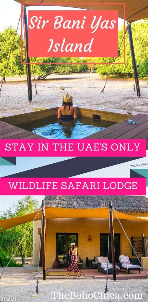 Anantara Sir Bani Yas Island Why You Need To Stay At The Only Wildlife