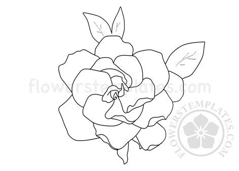 Printable Gardenia Flower Drawing - Flowers Templates