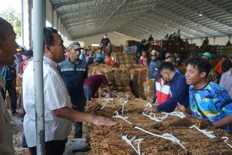 Didampingi Bupati Petani Blora Jual Tembakau Ke Pt Sadhana Website