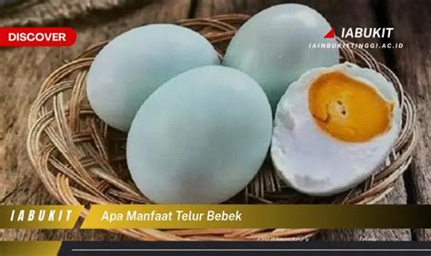 Jarang Diketahui Ini Manfaat Telur Bebek Yang Bikin Penasaran E