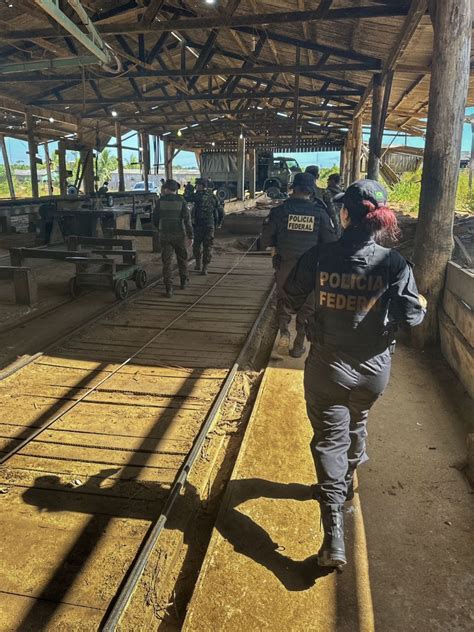 PF combate crimes ambientais na Terra Indígena Igarapé Lage Polícia