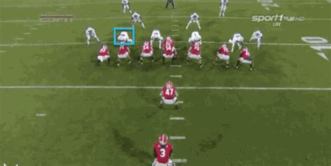 uga | GIF | PrimoGIF