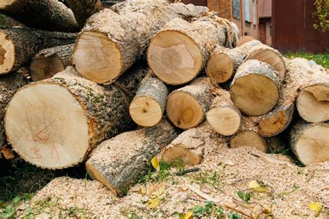 Colhendo Lenha Para O Inverno Pilha De Lenha Empilhada Preparada Para