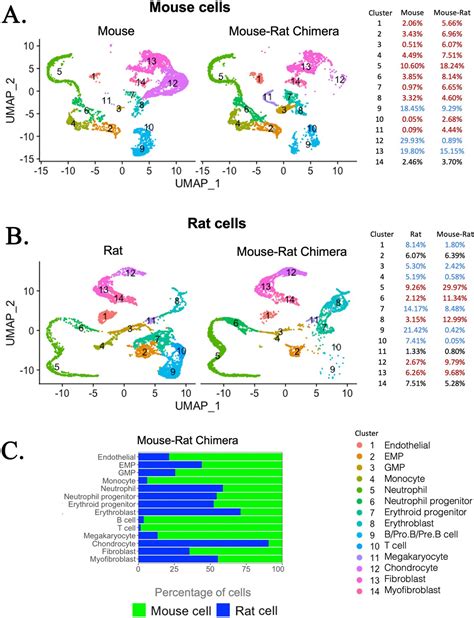 In Vivo Generation Of Bone Marrow From Embryonic Stem Cells In