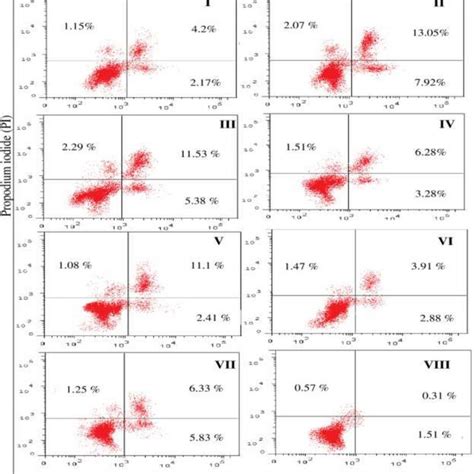 Flow Cytometry Analysis Showing Apoptosis And Necrosis In Hepg Cancer