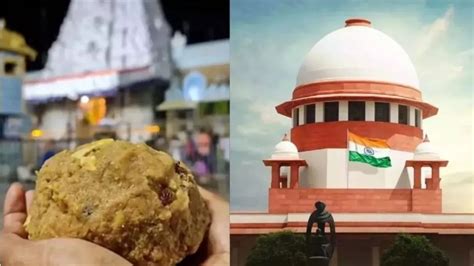 Tirupati Laddu Row: SC Begins Hearing On Allegations Of Animal Fat ...