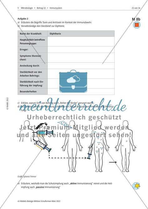 Das Immunsystem Des Menschen M8 M12 MeinUnterricht