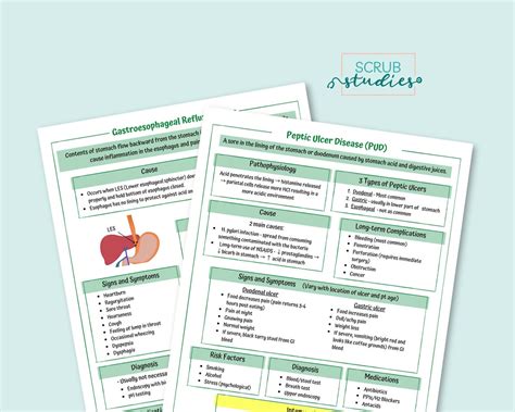 Gerd And Pud Study Guide Gastroesophageal Reflux Disease Peptic Ulcer