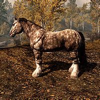 Skyrim:Horses - The Unofficial Elder Scrolls Pages (UESP)