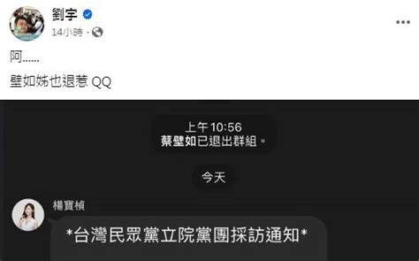 蔡壁如傳退出民眾黨通訊群組 幕僚：對此議題不回應