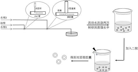 Method For Preparing Polyamide Double Layer Microcapsule Eureka Patsnap