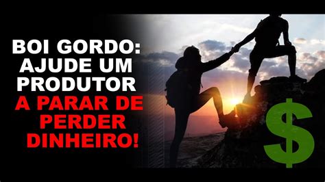 Boi Gordo Ajude Um Produtor A Parar De Perder Dinheiro Youtube