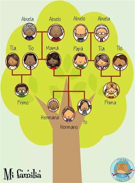 Los Miembros De La Familia Diagram Quizlet