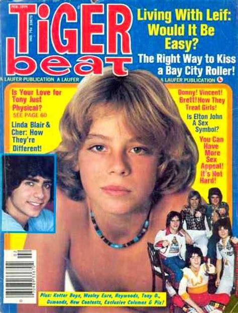 Super Seventies Tiger Beat Leif Garrett Teen Magazine