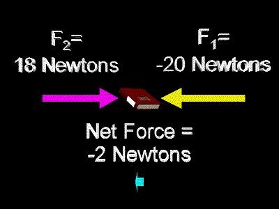 Net Force | Zona Land Education