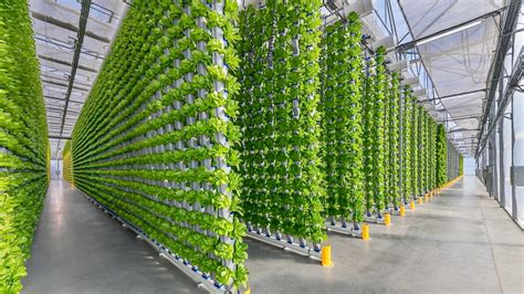 Borderlands Texas Vertical Farms Designed To Disrupt Fresh Produce