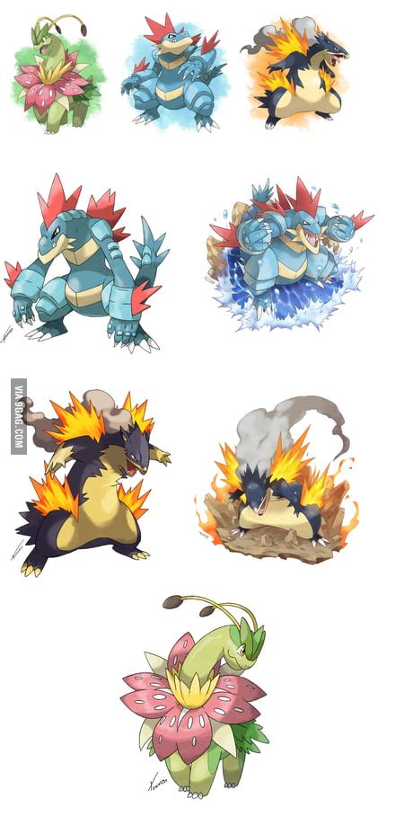 Mega Evolutions Starters