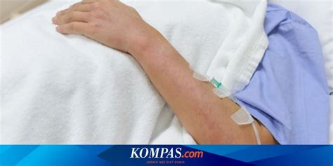 Ciri Ciri Bintik Dbd Demam Berdarah Yang Perlu Diketahui