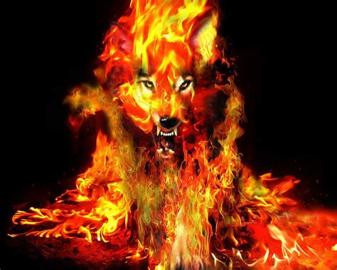 Cool Fire Wolf Wallpapers - Top Free Cool Fire Wolf Backgrounds ...