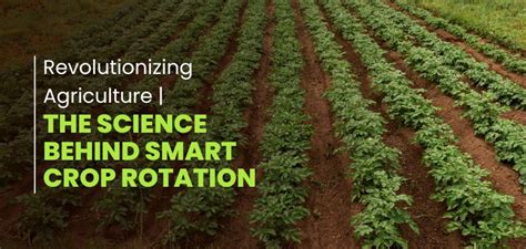 Revolutionizing Agriculture | The Science Behind Smart Crop Rotation ...