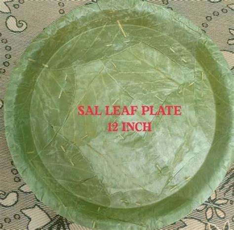 12 Inch Sal Leaf Plate At Rs 5 Piece In Chennai ID 2853340255662