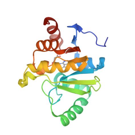 RCSB PDB 5SR8 PanDDA Analysis Group Deposition Crystal Structure