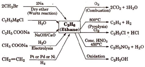 Cbse Notes Class 11 Chemistry Hydrocarbons