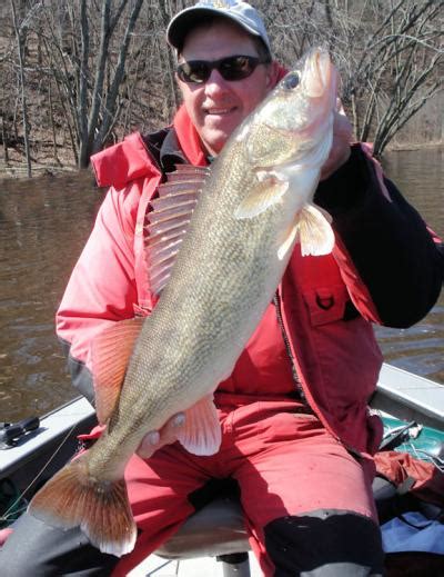 Wisconsin River Spring Walleyes Dells Fishing Reports In Depth