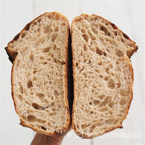 Butter Toasted Oat Porridge Sourdough Bread Bake With Paws