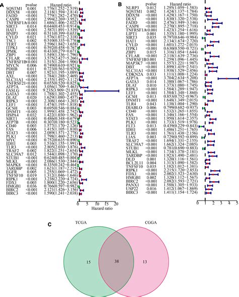 Frontiers Machine Learning Identification Of Cuproptosis And