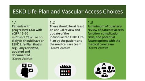 Kdoqi Access Guideline Patient First Esrd Life Plan Renal Fellow