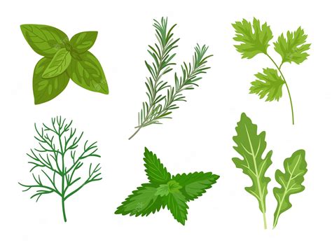 Spices And Herbs Clipart Transparent Png 640x480 Free Download