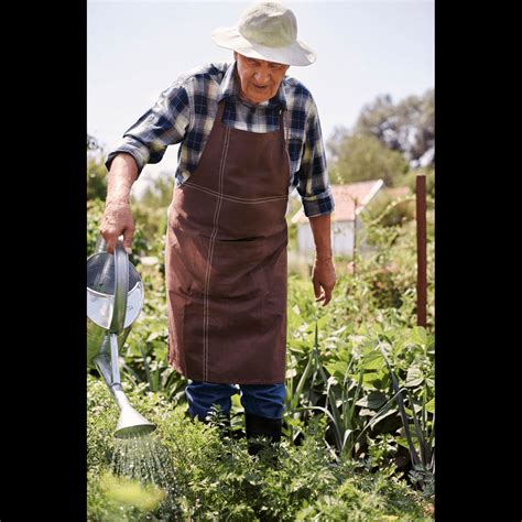 Lămâița românească planta de pe câmpuri plină de antioxidanți care are