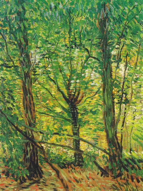 Trees & Underwood (Vintage Landscape) - Vincent van Gogh ...