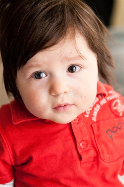 4 253 Chubby Brunette Stock Photos Free Royalty Free Stock Photos