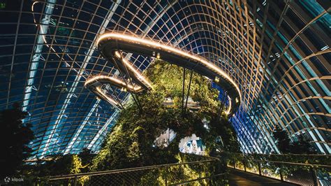 gardens   bay  singapore cloud forest flower dome klook