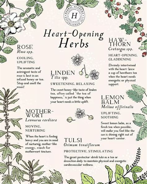 Herbal Academy On Instagram Happy Valentine S Day Friends Perhaps