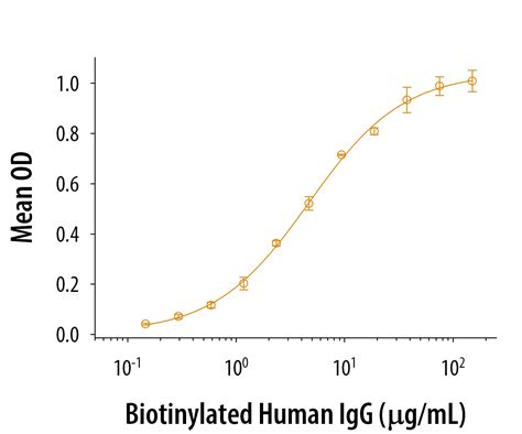 Recombinant Human FCRN Protein, CF (8639-FC): Novus Biologicals