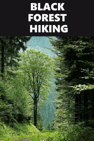 30 Best Black Forest Hiking Trails For All Skill Levels