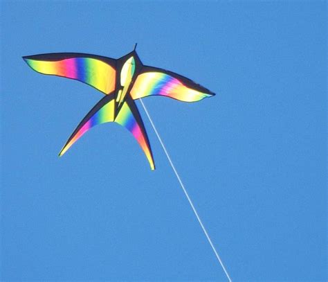 Kite Pictures - 10 Top Shots, From Heart-Warming to Eye-Popping